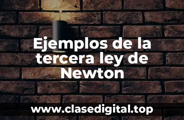 Ejemplos de la tercera ley de Newton