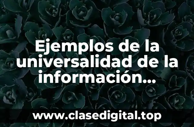 Ejemplos de la universalidad de la información contable
