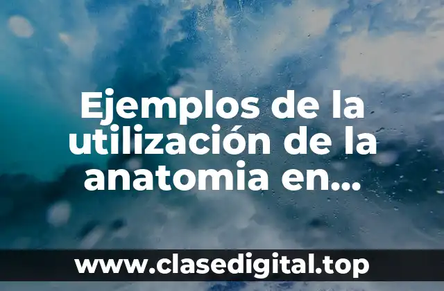 Ejemplos de la utilización de la anatomia en educación física