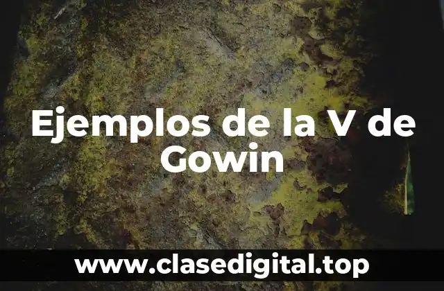 Ejemplos de la V de Gowin