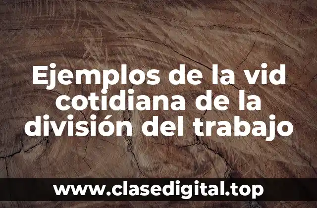 Ejemplos de la vid cotidiana de la división del trabajo