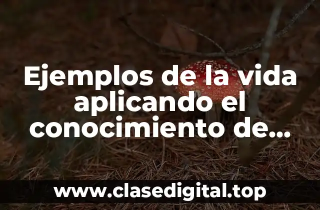 Ejemplos de la vida aplicando el conocimiento de Kant y Significado