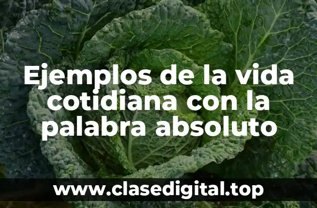 Ejemplos de la vida cotidiana con la palabra absoluto