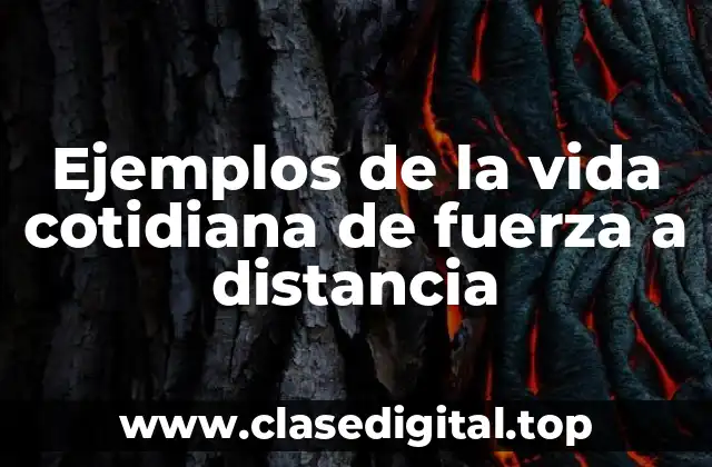 Ejemplos de la vida cotidiana de fuerza a distancia