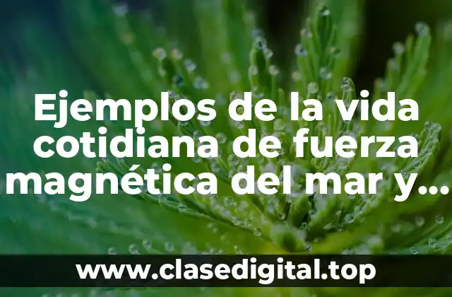 Ejemplos de la vida cotidiana de fuerza magnética del mar y Significado