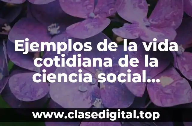 Ejemplos de la vida cotidiana de la ciencia social derecho y Significado