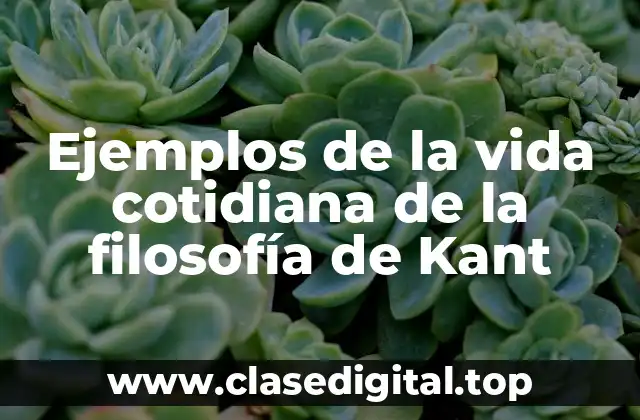 Ejemplos de la vida cotidiana de la filosofía de Kant