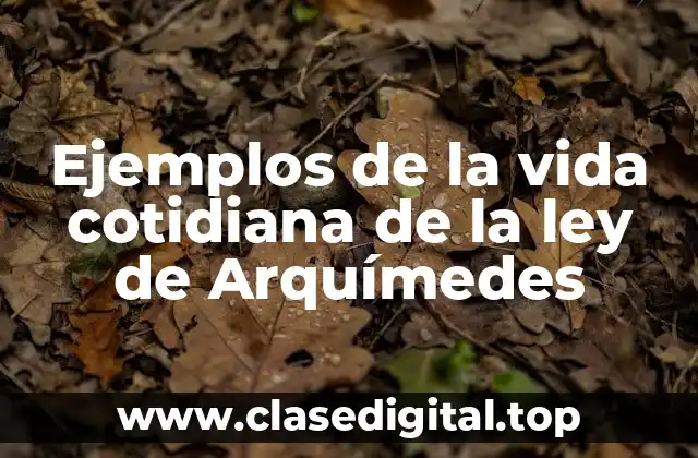 Ejemplos de la vida cotidiana de la ley de Arquímedes