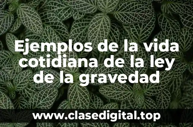 Ejemplos de la vida cotidiana de la ley de la gravedad