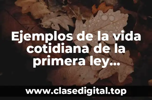 Ejemplos de la vida cotidiana de la primera ley termodinamica