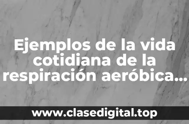 Ejemplos de la vida cotidiana de la respiración aeróbica y Significado