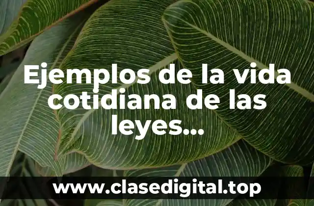 Ejemplos de la vida cotidiana de las leyes electromagnetismo