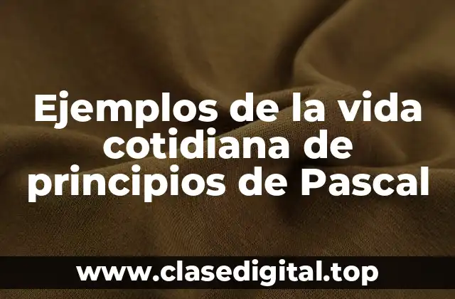 Ejemplos de la vida cotidiana de principios de Pascal