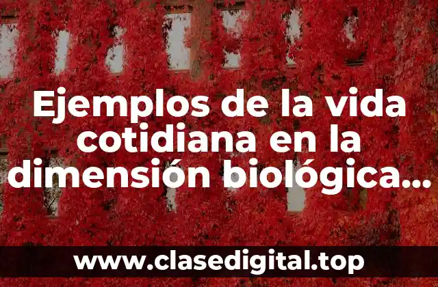 Ejemplos de la vida cotidiana en la dimensión biológica y Significado
