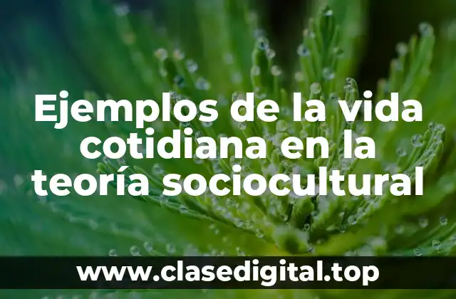 Ejemplos de la vida cotidiana en la teoría sociocultural