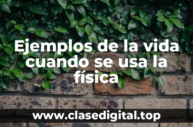 Ejemplos de la vida cuando se usa la física