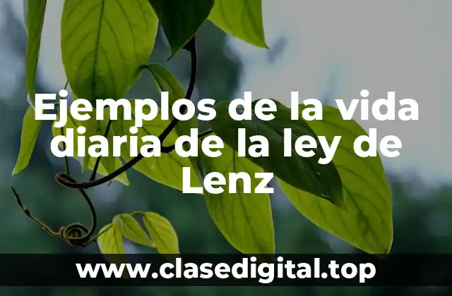 Ejemplos de la vida diaria de la ley de Lenz