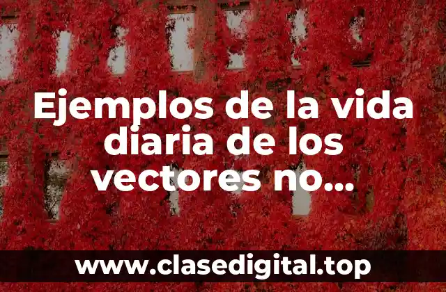 Ejemplos de la vida diaria de los vectores no coplanares