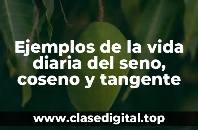 Ejemplos de la vida diaria del seno, coseno y tangente