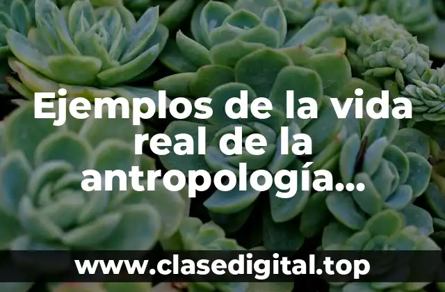 Ejemplos de la vida real de la antropología filosófica