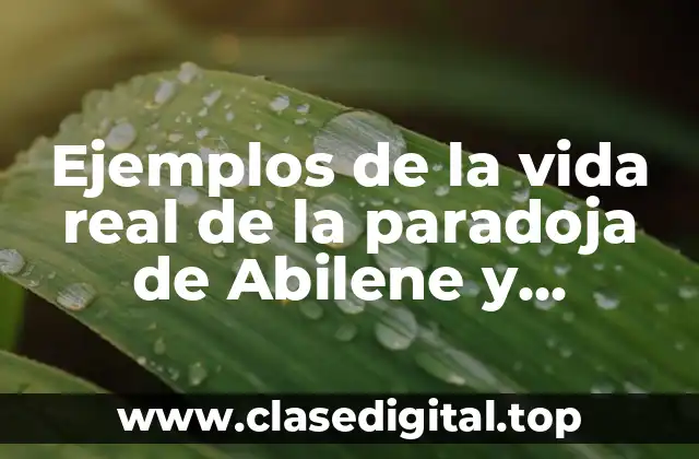 Ejemplos de la vida real de la paradoja de Abilene y Significado