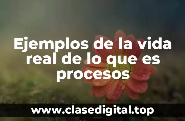 Ejemplos de la vida real de lo que es procesos