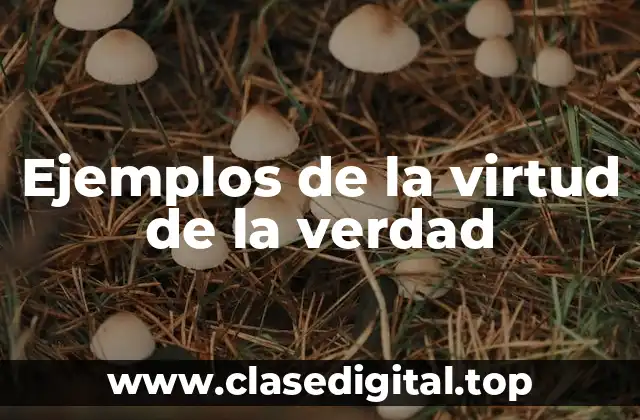 Ejemplos de la virtud de la verdad