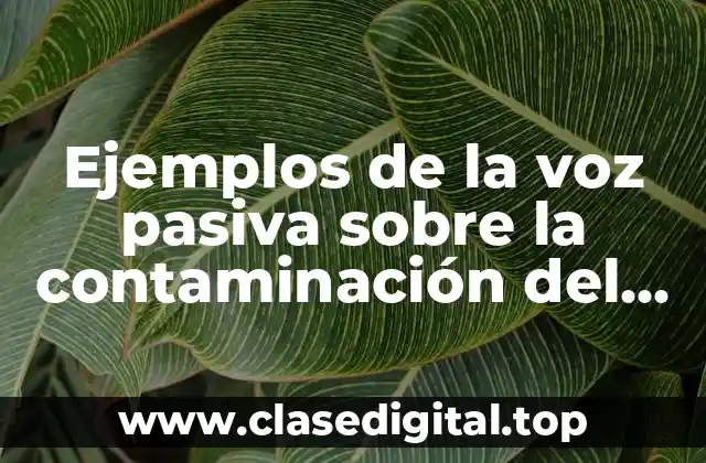 Ejemplos de la voz pasiva sobre la contaminación del agua