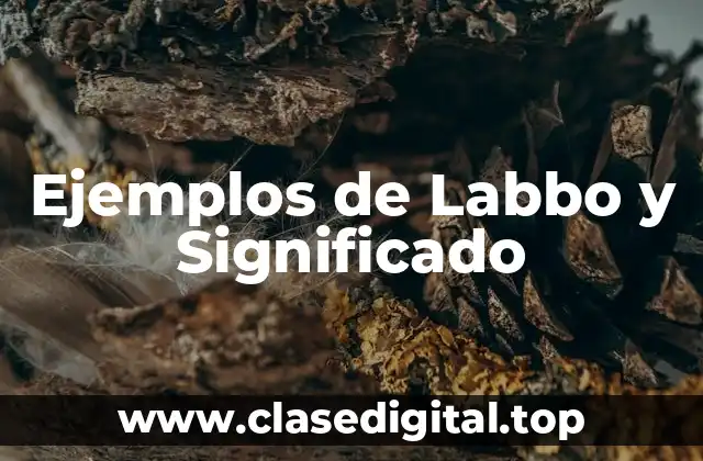 Ejemplos de Labbo y Significado