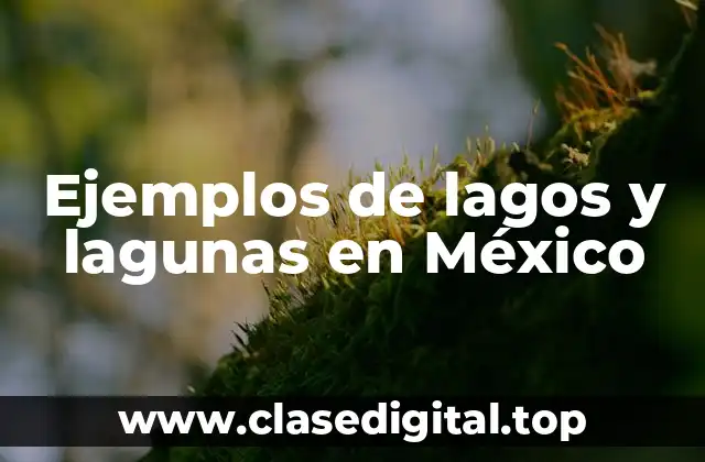 Ejemplos de lagos y lagunas en México