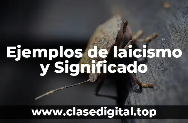 Ejemplos de laicismo y Significado