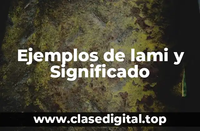 Ejemplos de lami y Significado