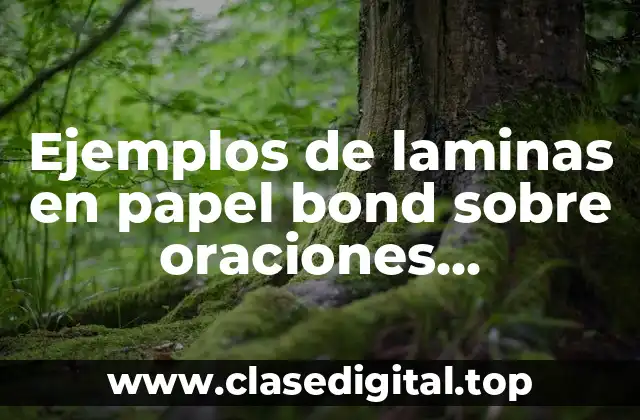 Ejemplos de laminas en papel bond sobre oraciones imperativas