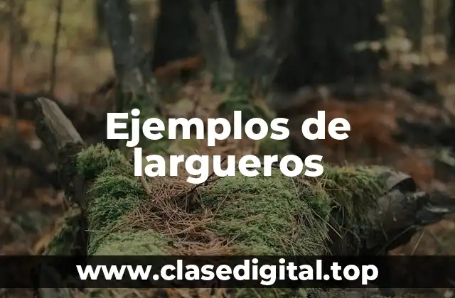 Ejemplos de largueros