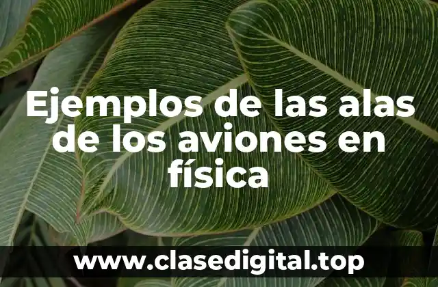 Ejemplos de las alas de los aviones en física