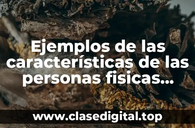 Ejemplos de las características de las personas fisicas contabilidad