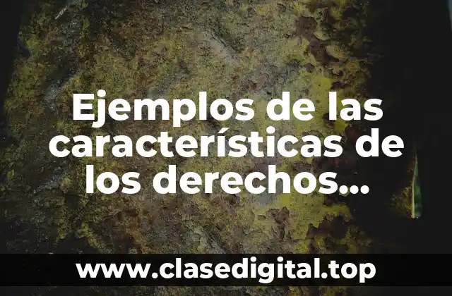 Ejemplos de las características de los derechos humanos