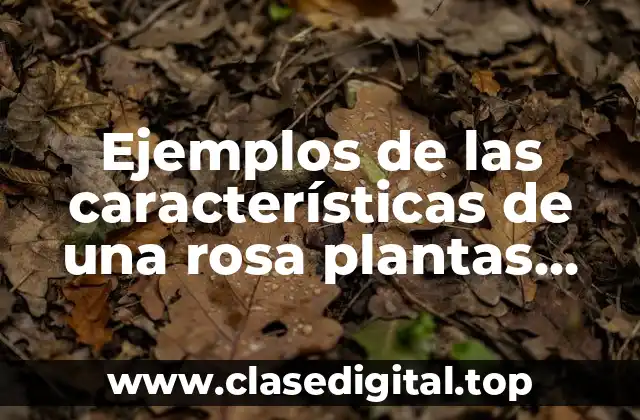 Ejemplos de las características de una rosa plantas sexuales