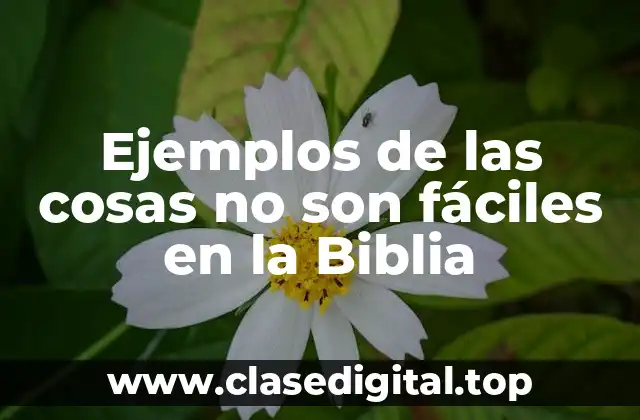 Ejemplos de las cosas no son fáciles en la Biblia