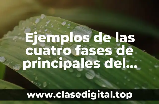 Ejemplos de las cuatro fases de principales del proceso administrativo