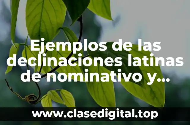 Ejemplos de las declinaciones latinas de nominativo y genitivo y Significado