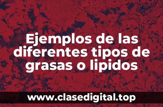 Ejemplos de las diferentes tipos de grasas o lipidos