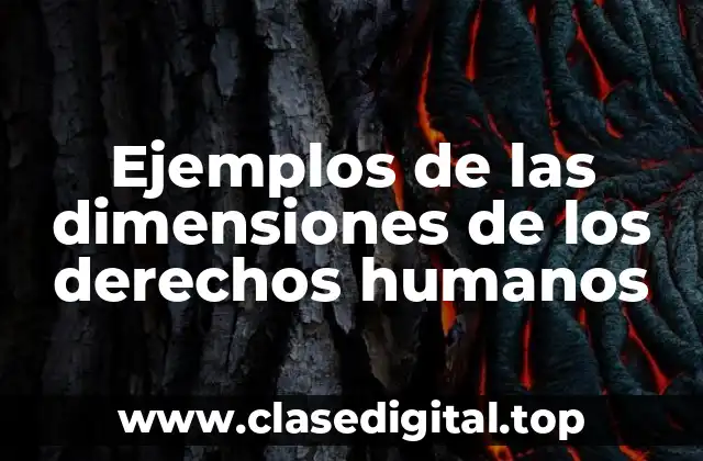 Ejemplos de las dimensiones de los derechos humanos