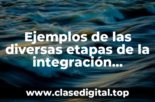 Ejemplos de las diversas etapas de la integración económica