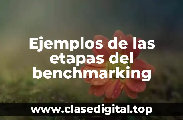Ejemplos de las etapas del benchmarking