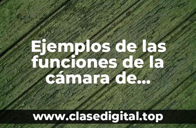 Ejemplos de las funciones de la cámara de diputados y Significado