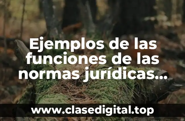 Ejemplos de las funciones de las normas jurídicas motivadoras