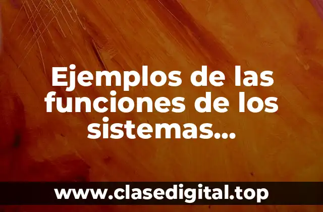 Ejemplos de las funciones de los sistemas económicos