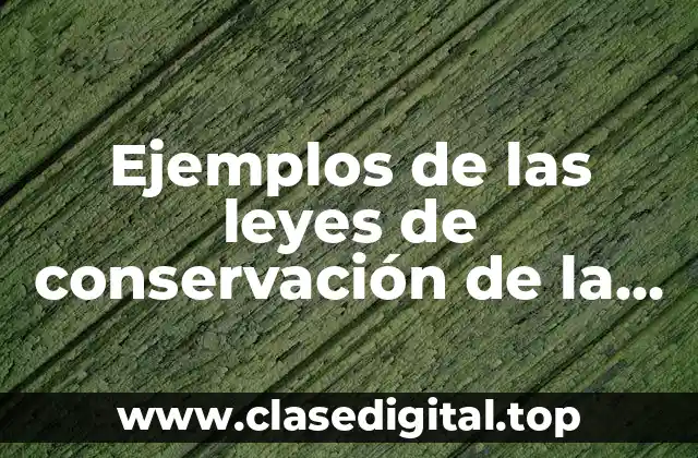 Ejemplos de las leyes de conservación de la materia