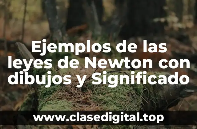 Ejemplos de las leyes de Newton con dibujos y Significado